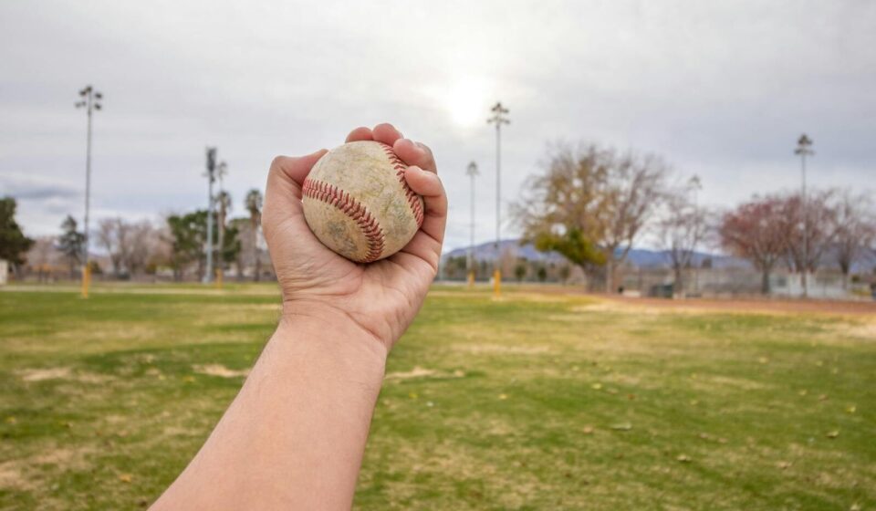 Close-up of a hand holding a baseball in a park in daylight.
